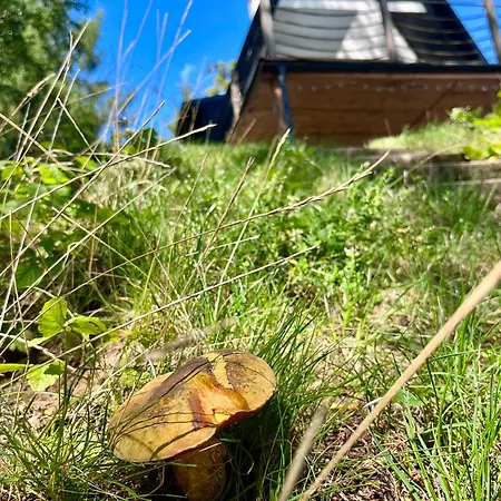 Widokowka Zacisze Vila Brodnica Dolna