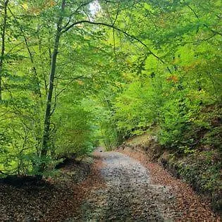 Villa Widokowka Zacisze Brodnica Dolna
