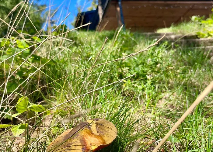 Widokowka Zacisze Villa Brodnica Dolna